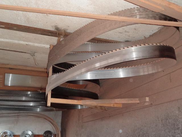 Vertical belt saws Primultini  1200 SEB-CEC 